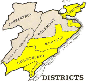 distrirevote.jpg (137722 bytes)